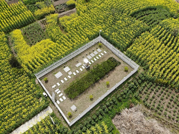 僅需2周，水質(zhì)就穩(wěn)定達標！這種一體化生活污水處理設(shè)備供不應(yīng)求