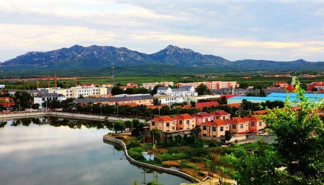青島市“十四五”生態(tài)環(huán)境保護(hù)規(guī)劃了哪些農(nóng)村人居環(huán)境治理任務(wù)？